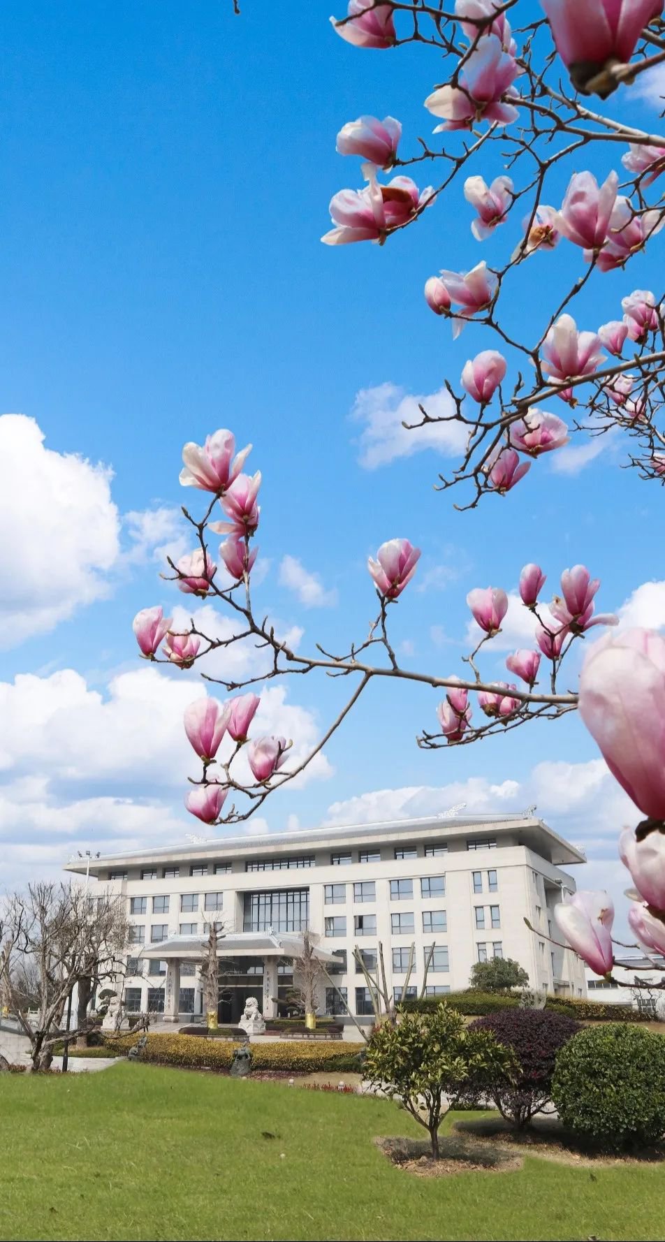 鸿运国际·(中国)集团-鸿运官网接待你