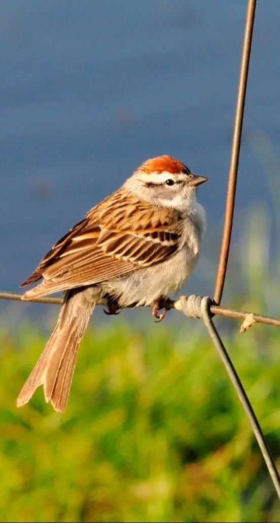 鸿运国际·(中国)集团-鸿运官网接待你