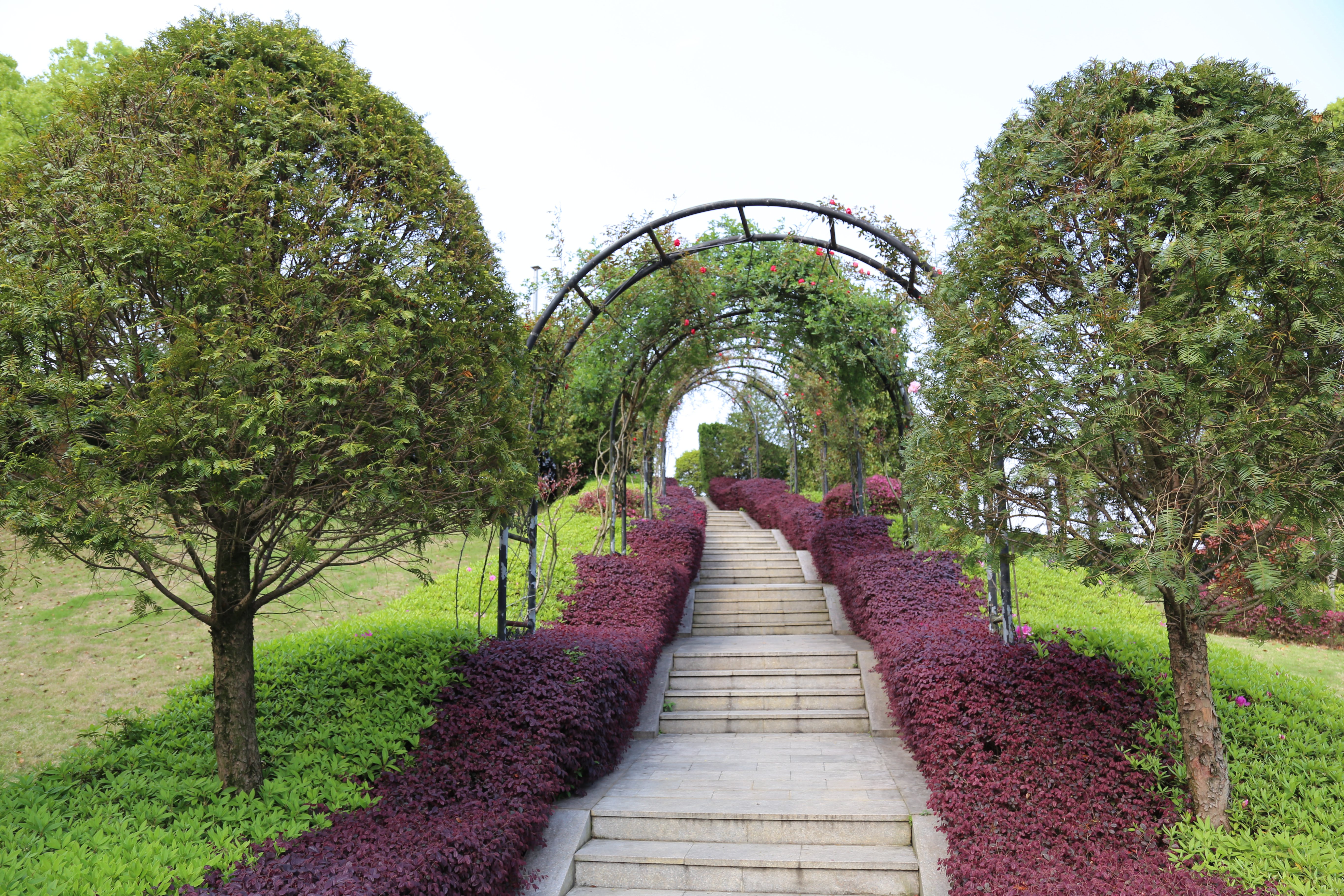 鸿运国际·(中国)集团-鸿运官网接待你