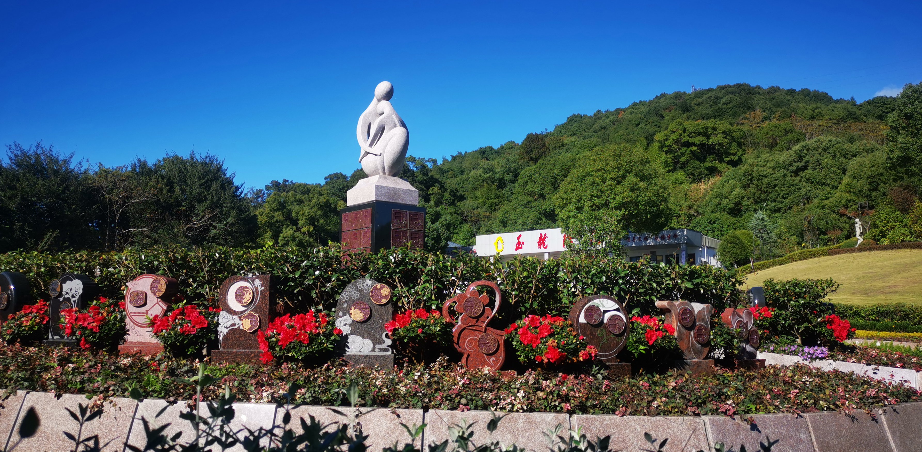 未来，，，，，生态葬或将成为主流