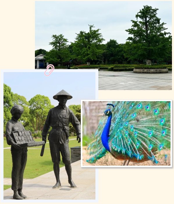 鸿运国际·(中国)集团-鸿运官网接待你