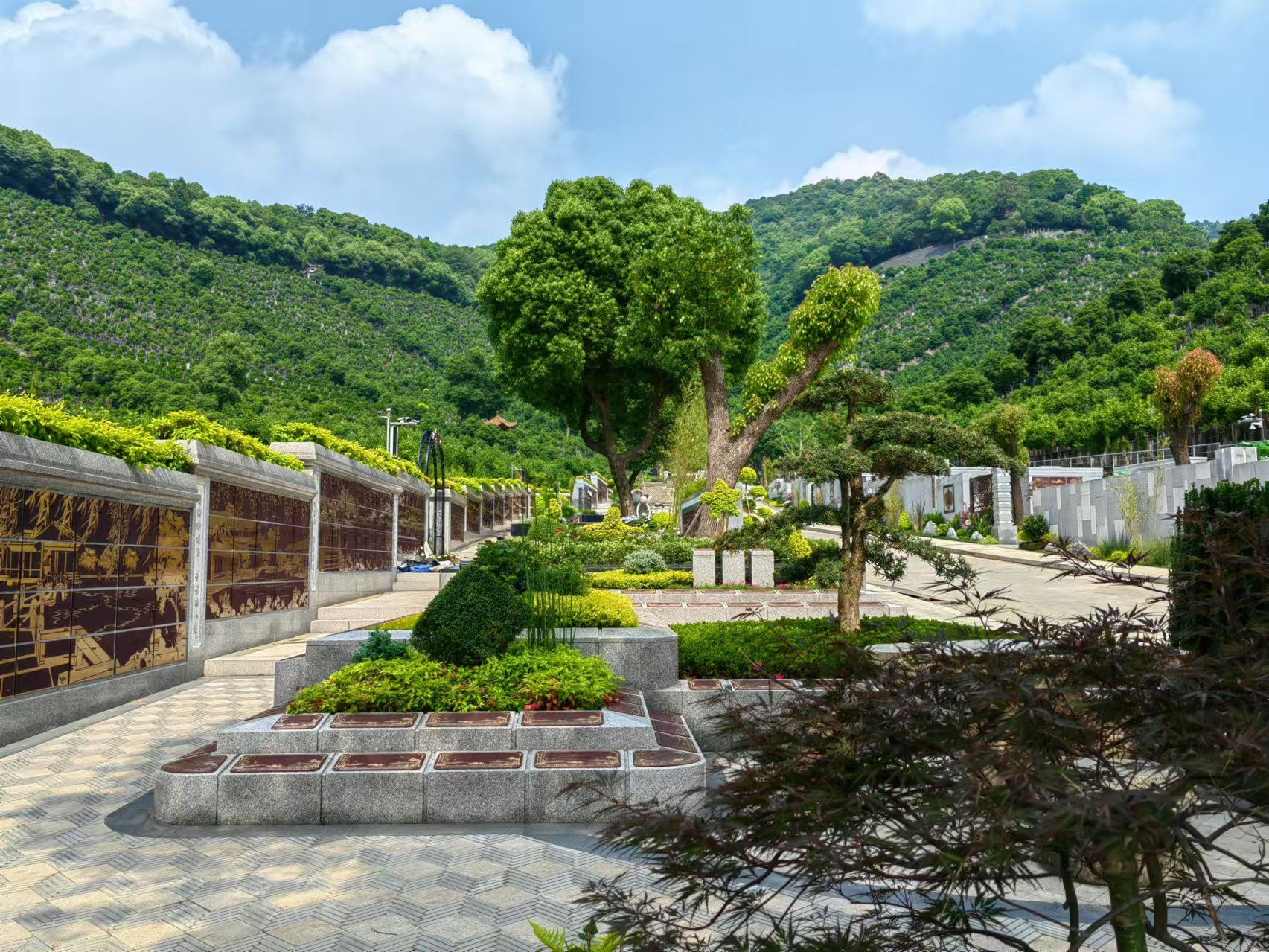 引领绿色生态新民俗，，，共筑生命协调家园