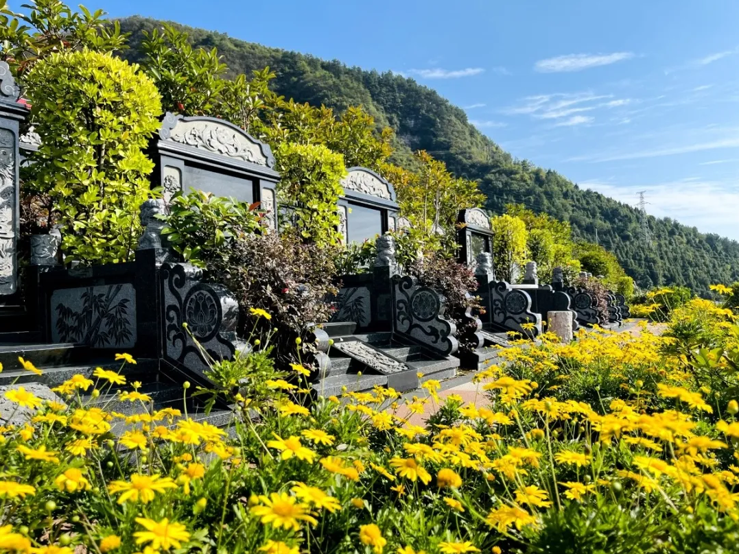 鸿运国际·(中国)集团-鸿运官网接待你