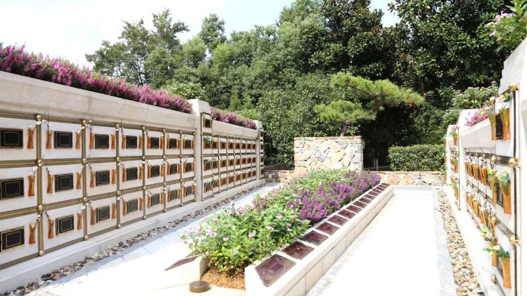 <b>在合肥大蜀山文化陵园，，，，，，，与生命温柔对话</b>