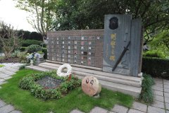 致敬“平安卫士”，，，，，，，铭刻“刑警之魂”