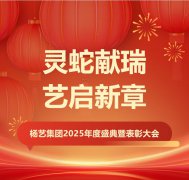 灵蛇献瑞 艺启新章 | 鸿运国际集团2025年度盛典暨表扬大会