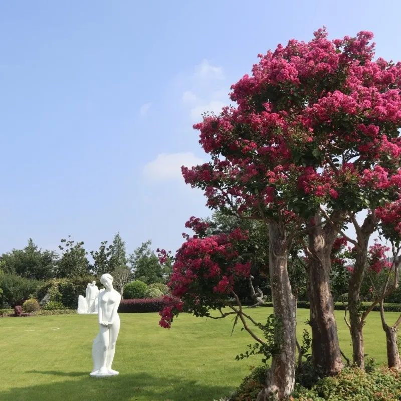 鸿运国际·(中国)集团-鸿运官网接待你