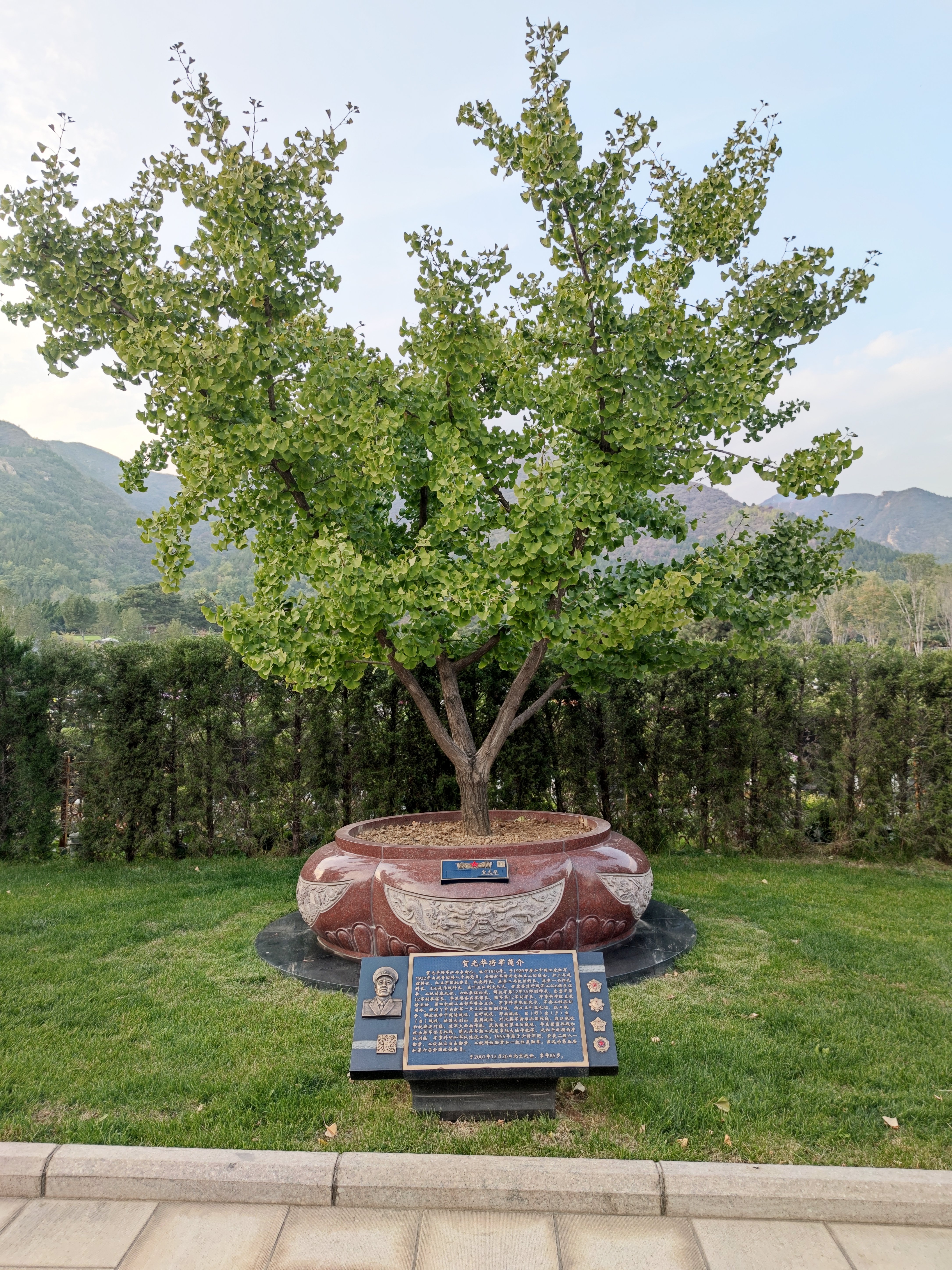 鸿运国际·(中国)集团-鸿运官网接待你