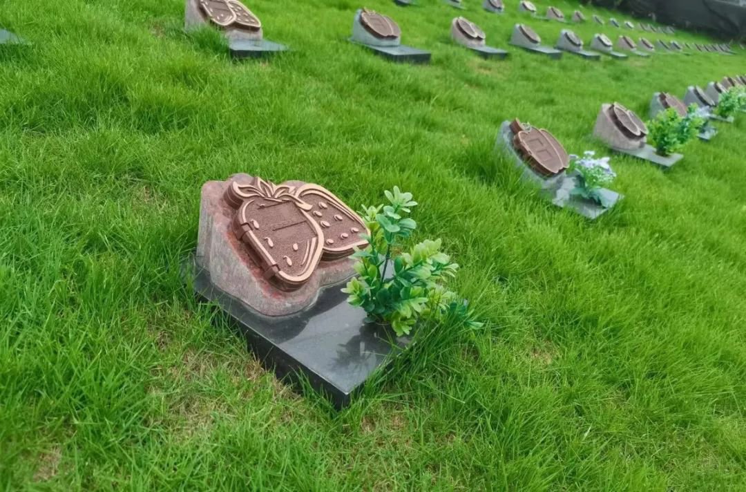 鸿运国际·(中国)集团-鸿运官网接待你