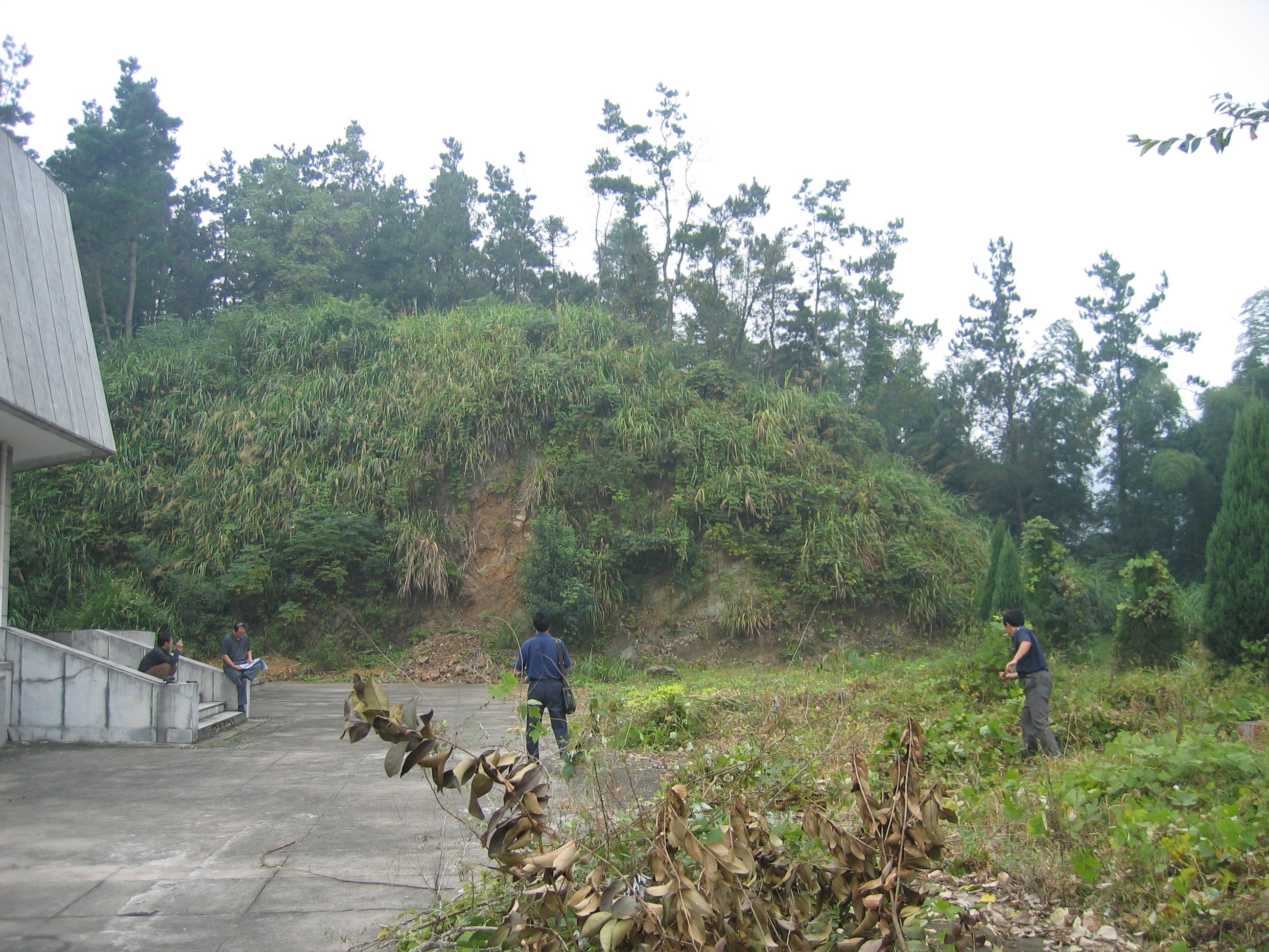 鸿运国际·(中国)集团-鸿运官网接待你