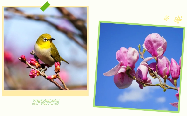 鸿运国际·(中国)集团-鸿运官网接待你