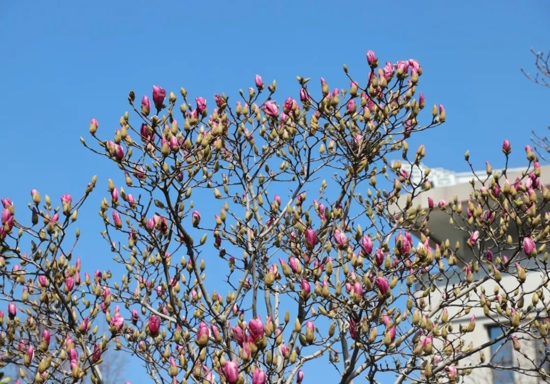 鸿运国际·(中国)集团-鸿运官网接待你