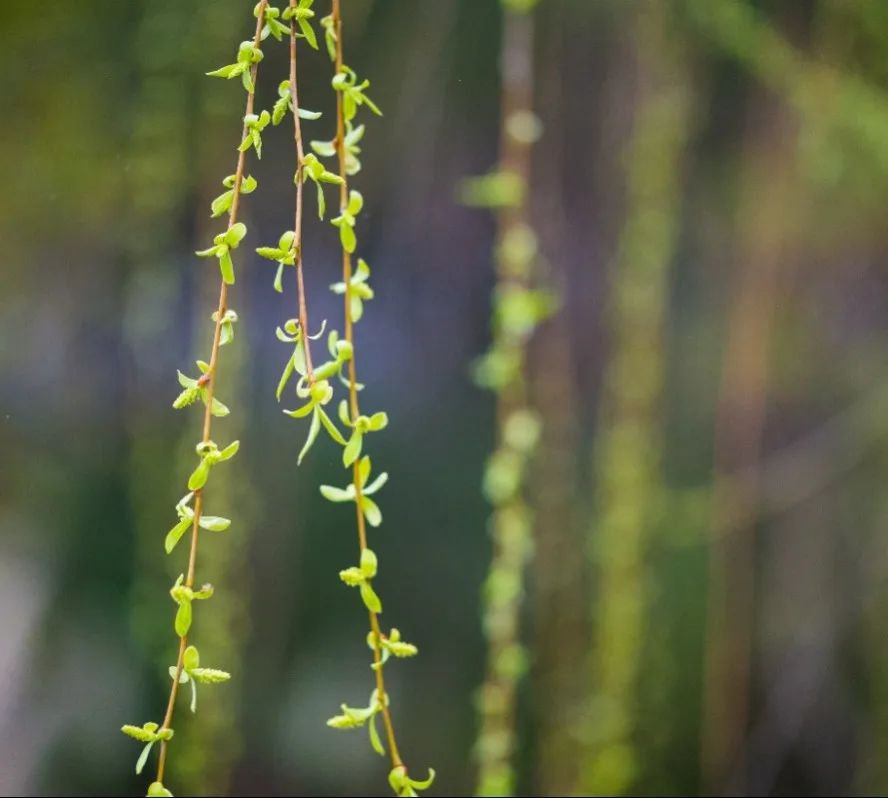 鸿运国际·(中国)集团-鸿运官网接待你