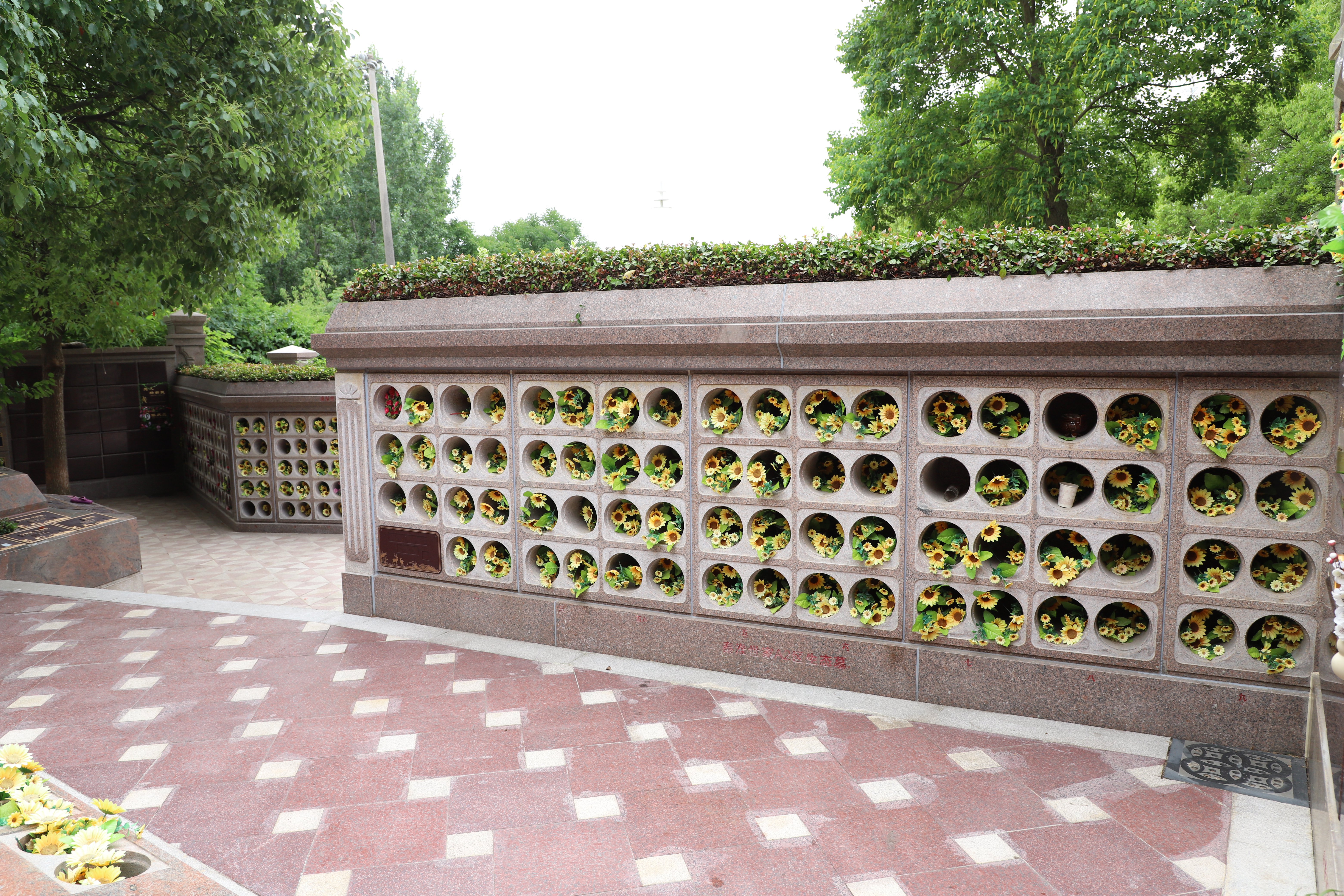 鸿运国际·(中国)集团-鸿运官网接待你