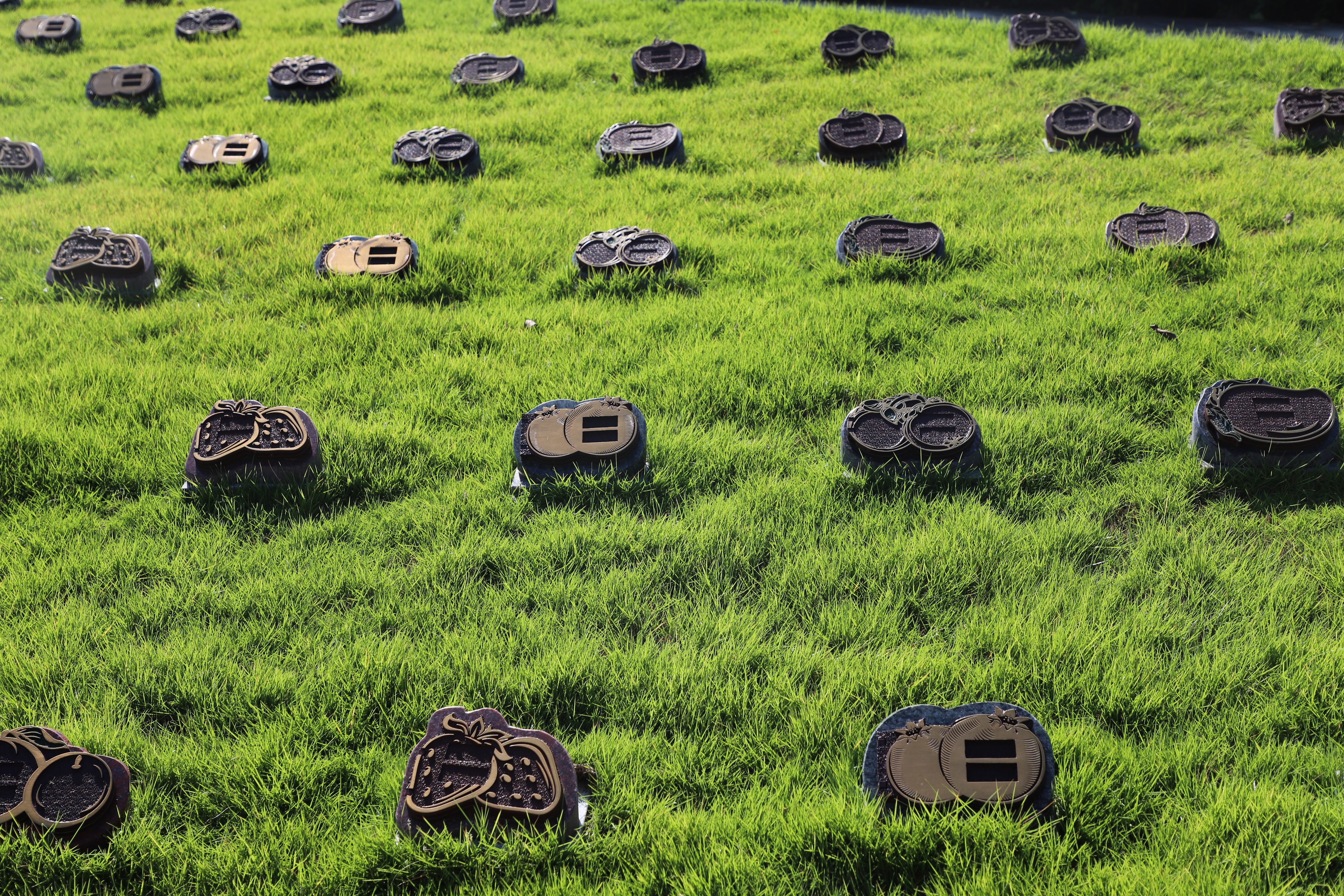 鸿运国际·(中国)集团-鸿运官网接待你