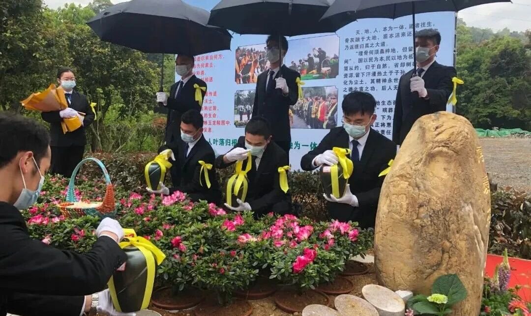 鸿运国际·(中国)集团-鸿运官网接待你