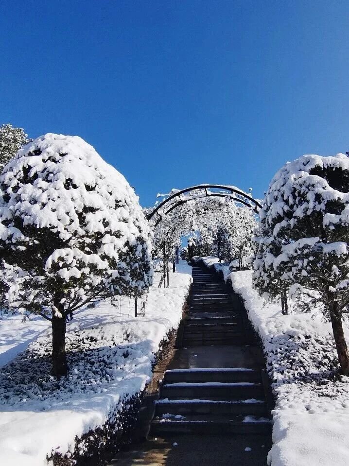 鸿运国际·(中国)集团-鸿运官网接待你