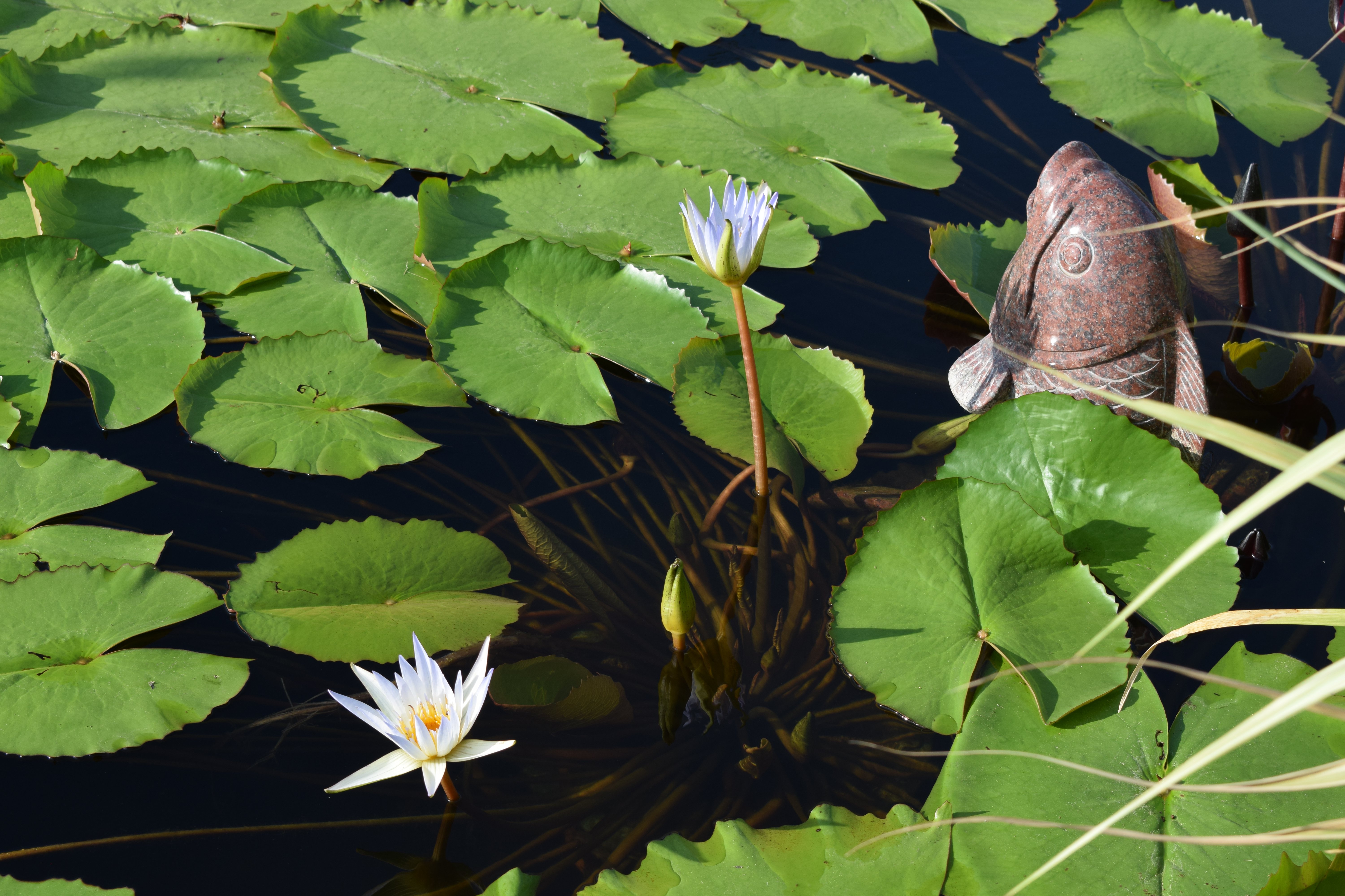 鸿运国际·(中国)集团-鸿运官网接待你