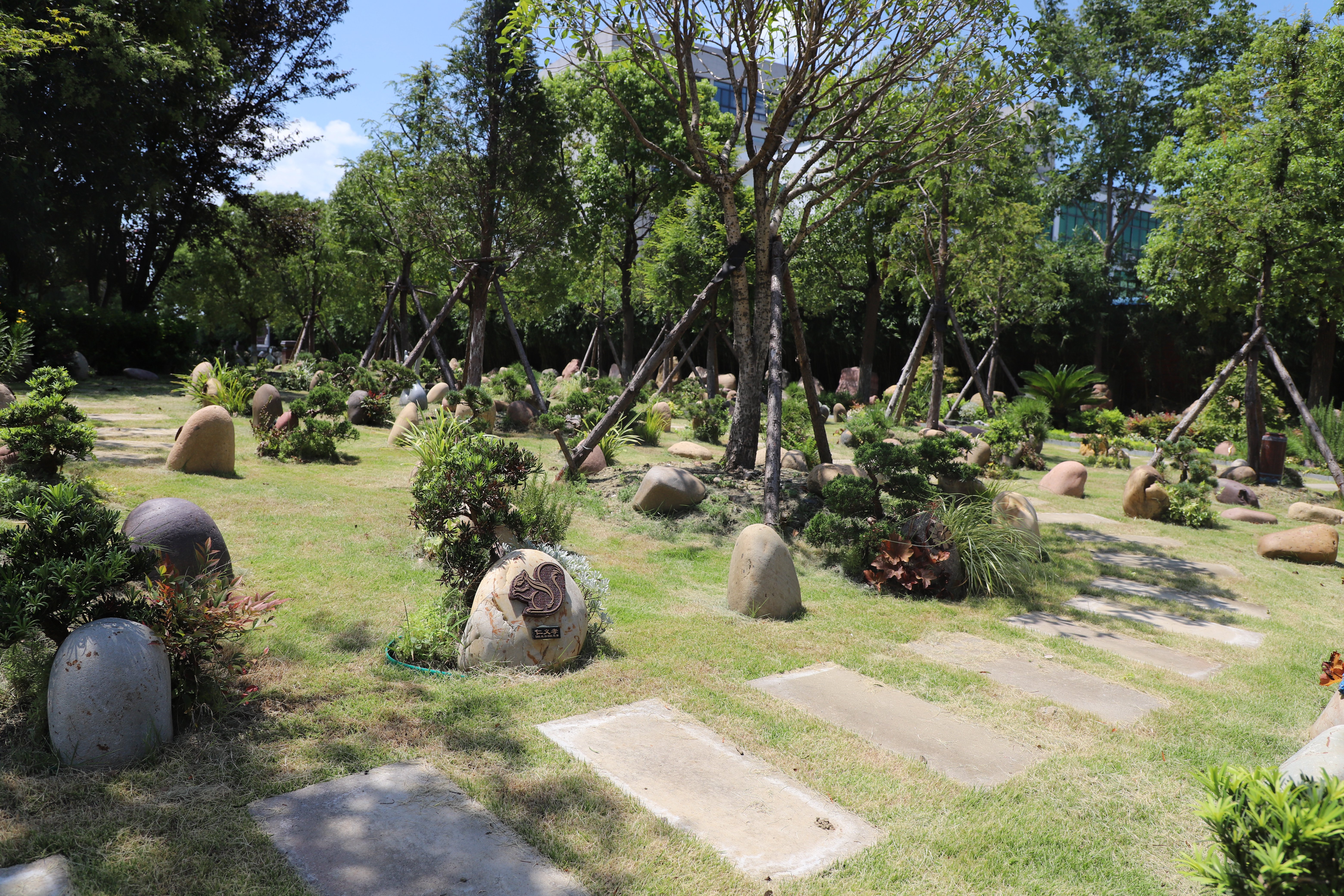 鸿运国际·(中国)集团-鸿运官网接待你