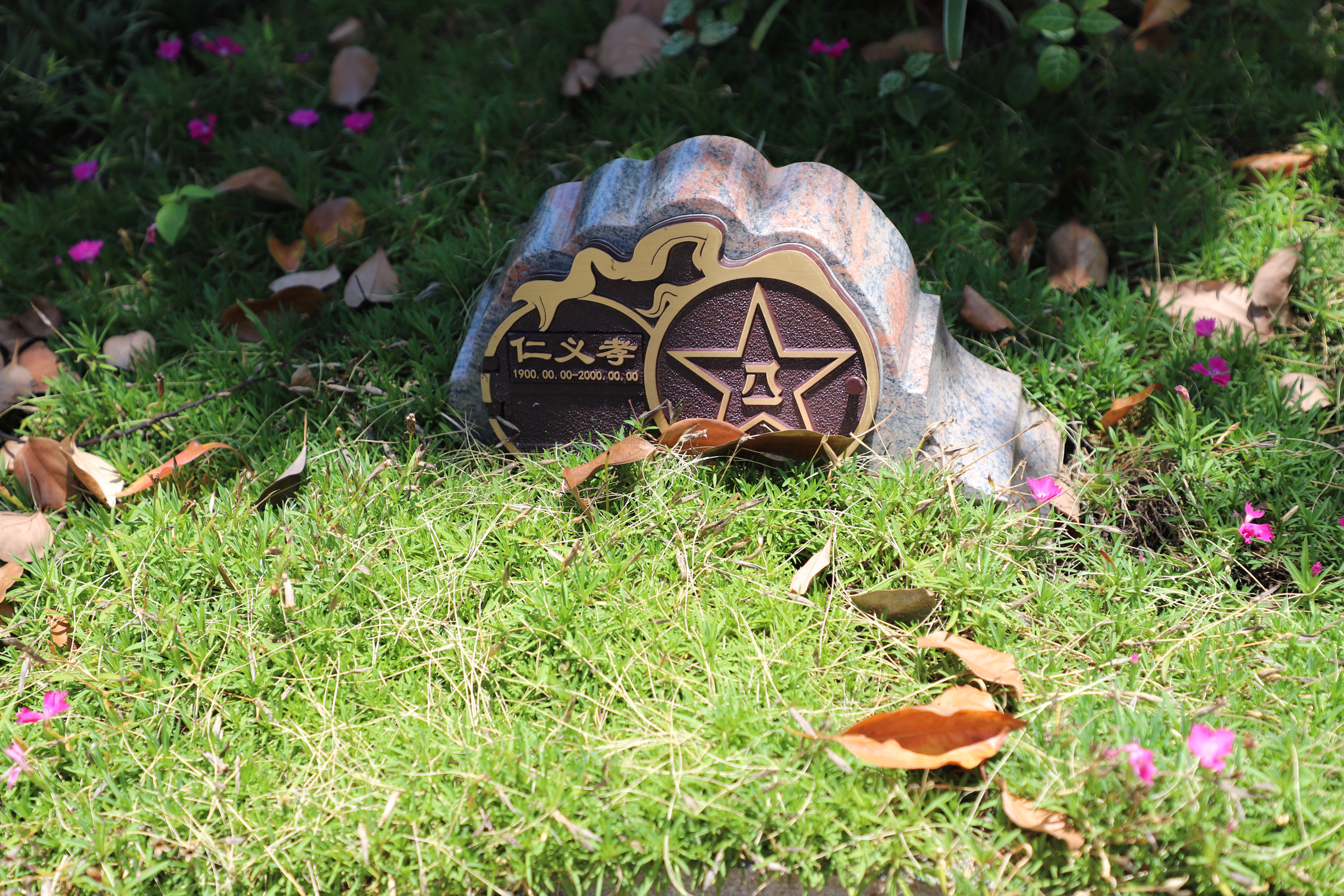 鸿运国际·(中国)集团-鸿运官网接待你