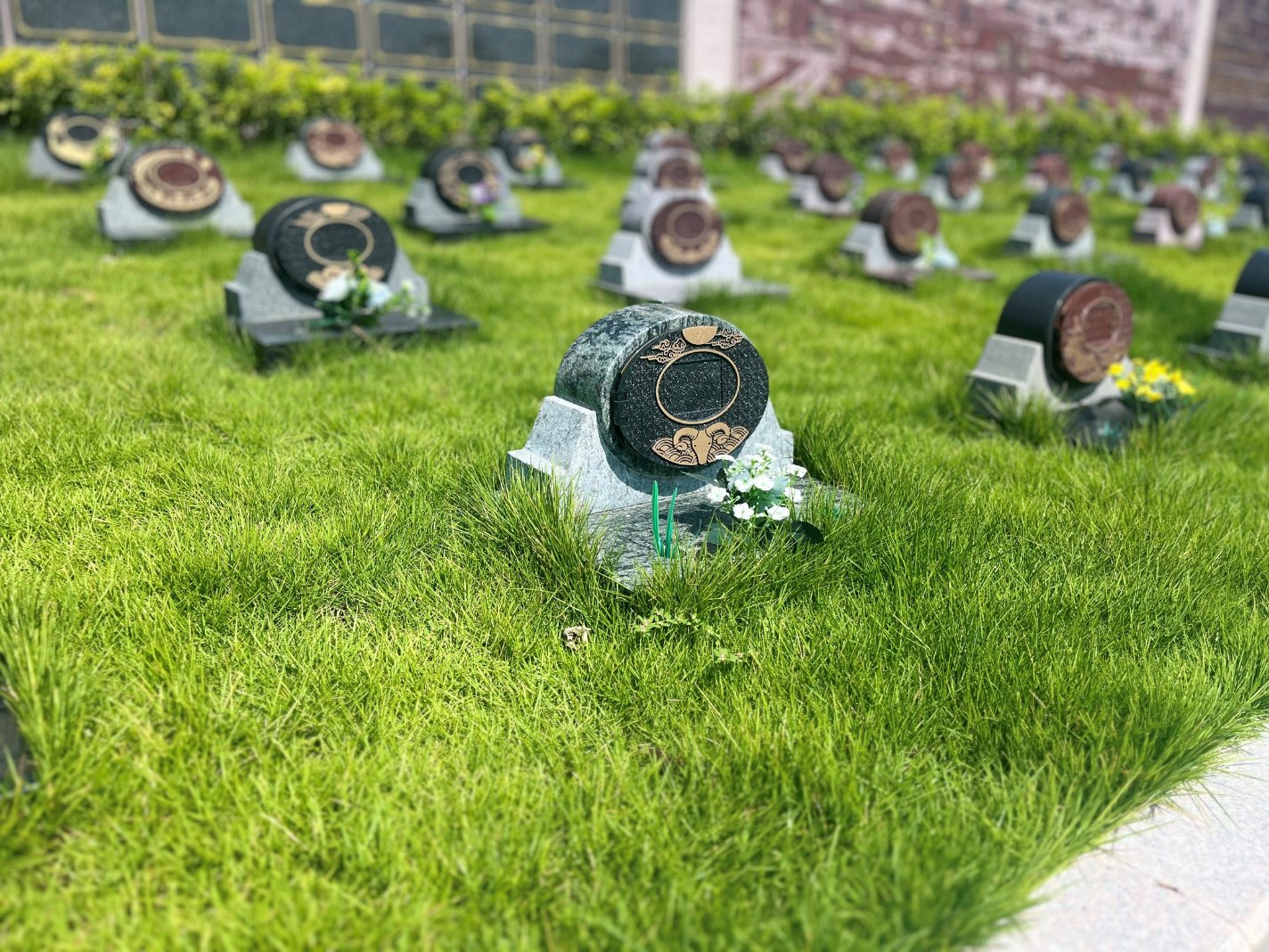 鸿运国际·(中国)集团-鸿运官网接待你