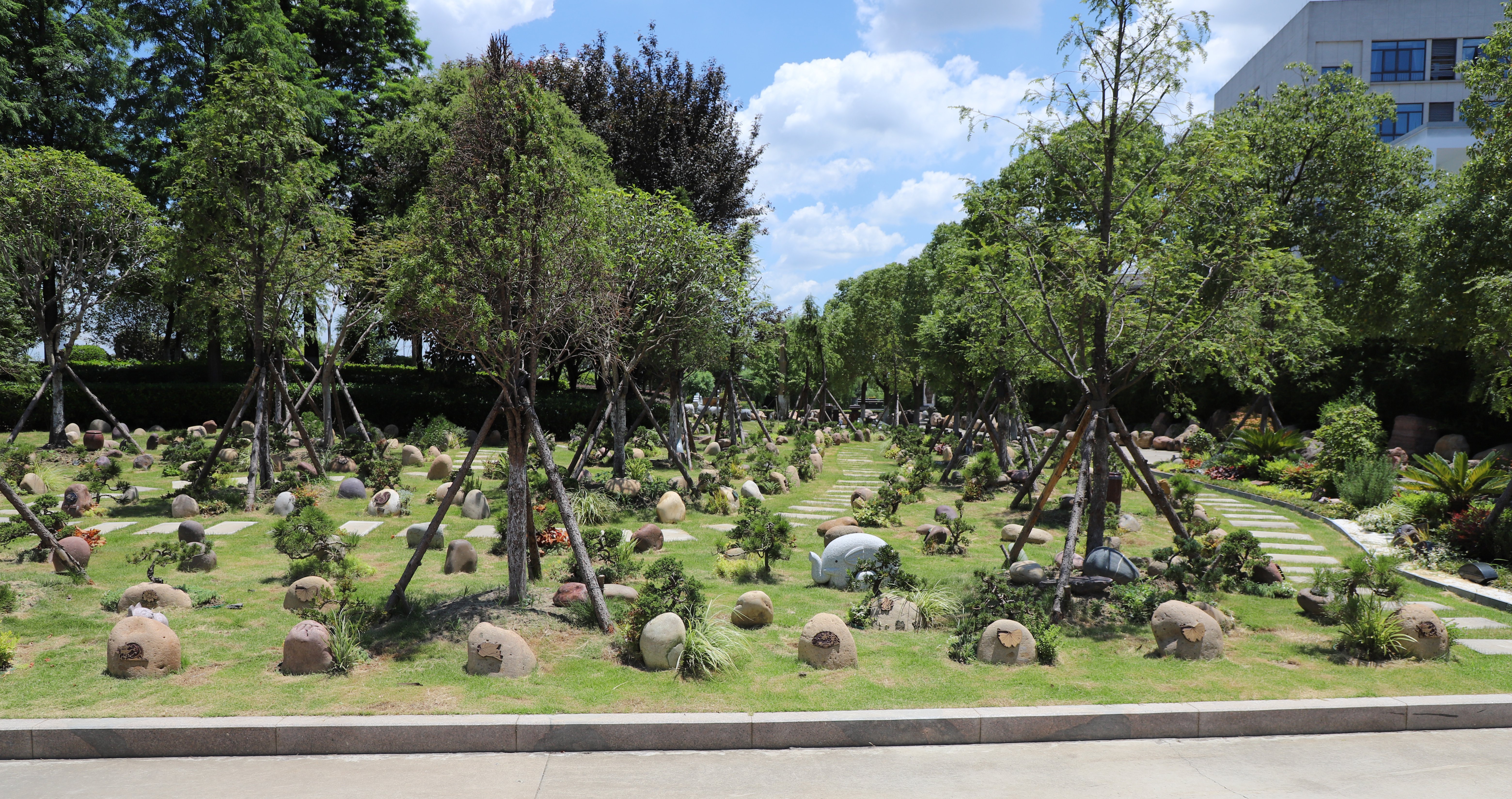 鸿运国际·(中国)集团-鸿运官网接待你